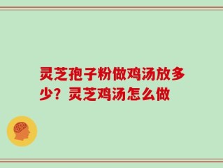 灵芝孢子粉做鸡汤放多少？灵芝鸡汤怎么做