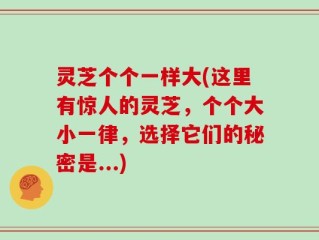 灵芝个个一样大(这里有惊人的灵芝，个个大小一律，选择它们的秘密是...)
