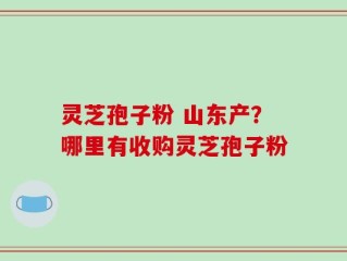 灵芝孢子粉 山东产？哪里有收购灵芝孢子粉