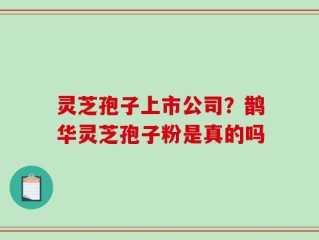 灵芝孢子上市公司？鹊华灵芝孢子粉是真的吗