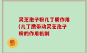 灵芝孢子粉几丁质作用(几丁质带动灵芝孢子粉的作用机制