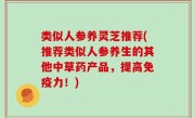 类似人参养灵芝推荐(推荐类似人参养生的其他中草药产品，提高免疫力！)