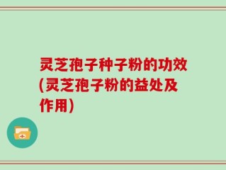 灵芝孢子种子粉的功效(灵芝孢子粉的益处及作用)