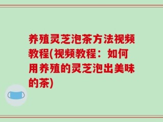 养殖灵芝泡茶方法视频教程(视频教程：如何用养殖的灵芝泡出美味的茶)