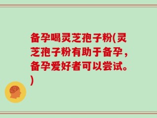 备孕喝灵芝孢子粉(灵芝孢子粉有助于备孕，备孕爱好者可以尝试。)