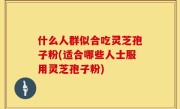 什么人群似合吃灵芝孢子粉(适合哪些人士服用灵芝孢子粉)
