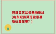 冠县灵芝盆景基地地址(山东冠县灵芝盆景基地位置在哪？)