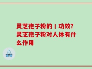 灵芝孢子粉的丨功效？灵芝孢子粉对人体有什么作用