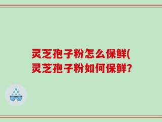 灵芝孢子粉怎么保鲜(灵芝孢子粉如何保鲜？