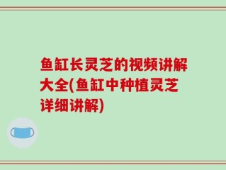 鱼缸长灵芝的视频讲解大全(鱼缸中种植灵芝详细讲解)