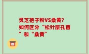 灵芝孢子粉VS桑黄？如何区分“松针层孔菌”和“桑黄”