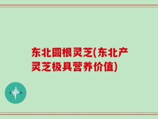 东北圆根灵芝(东北产灵芝极具营养价值)