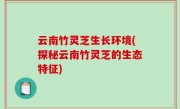 云南竹灵芝生长环境(探秘云南竹灵芝的生态特征)