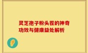 灵芝孢子粉头茬的神奇功效与健康益处解析