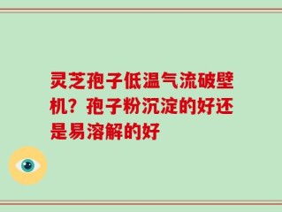 灵芝孢子低温气流破壁机？孢子粉沉淀的好还是易溶解的好