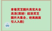 拿着灵芝图片真实大全高清(震撼！超清灵芝图片大集合，绝美画面引人入胜)