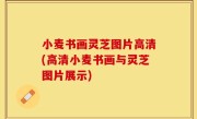 小麦书画灵芝图片高清(高清小麦书画与灵芝图片展示)
