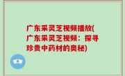 广东采灵芝视频播放(广东采灵芝视频：探寻珍贵中药材的奥秘)