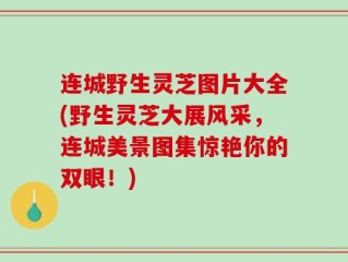 连城野生灵芝图片大全(野生灵芝大展风采，连城美景图集惊艳你的双眼！)