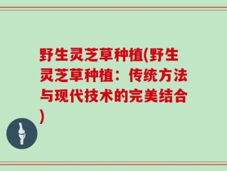 野生灵芝草种植(野生灵芝草种植：传统方法与现代技术的完美结合)