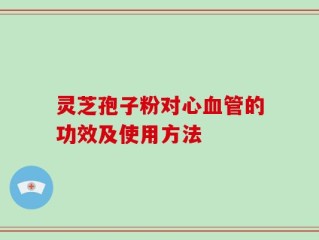 灵芝孢子粉对心血管的功效及使用方法