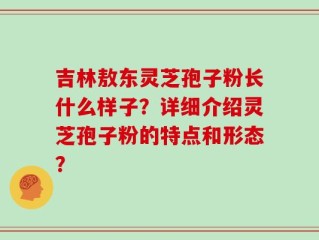 吉林敖东灵芝孢子粉长什么样子？详细介绍灵芝孢子粉的特点和形态？