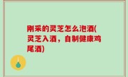 刚采的灵芝怎么泡酒(灵芝入酒，自制健康鸡尾酒)