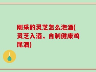 刚采的灵芝怎么泡酒(灵芝入酒，自制健康鸡尾酒)