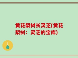黄花梨树长灵芝(黄花梨树：灵芝的宝库)