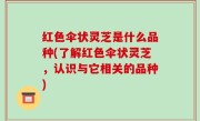 红色伞状灵芝是什么品种(了解红色伞状灵芝，认识与它相关的品种)