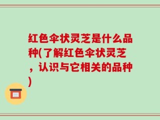 红色伞状灵芝是什么品种(了解红色伞状灵芝，认识与它相关的品种)
