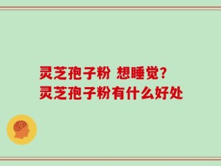 灵芝孢子粉 想睡觉？灵芝孢子粉有什么好处