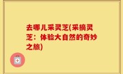 去哪儿采灵芝(采摘灵芝：体验大自然的奇妙之旅)