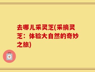 去哪儿采灵芝(采摘灵芝：体验大自然的奇妙之旅)