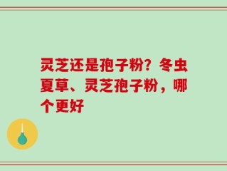 灵芝还是孢子粉？冬虫夏草、灵芝孢子粉，哪个更好