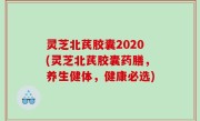 灵芝北芪胶囊2020(灵芝北芪胶囊药膳，养生健体，健康必选)