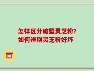 怎样区分破壁灵芝粉？如何辨别灵芝粉好坏