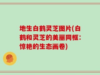 地生白鹤灵芝图片(白鹤和灵芝的美丽同框：惊艳的生态画卷)