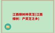 江西樟树种灵芝(江西樟树：产灵芝之乡)