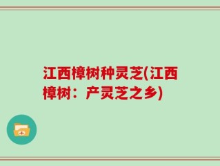 江西樟树种灵芝(江西樟树：产灵芝之乡)