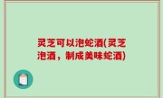 灵芝可以泡蛇酒(灵芝泡酒，制成美味蛇酒)