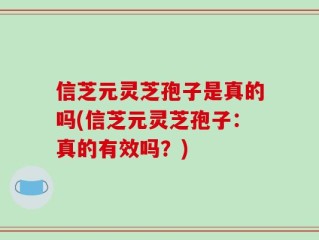 信芝元灵芝孢子是真的吗(信芝元灵芝孢子：真的有效吗？)