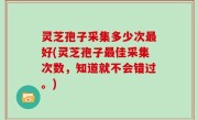 灵芝孢子采集多少次最好(灵芝孢子最佳采集次数，知道就不会错过。)