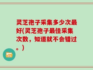 灵芝孢子采集多少次最好(灵芝孢子最佳采集次数，知道就不会错过。)