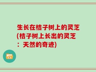 生长在桔子树上的灵芝(桔子树上长出的灵芝：天然的奇迹)