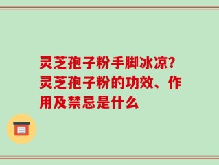 灵芝孢子粉手脚冰凉？灵芝孢子粉的功效、作用及禁忌是什么