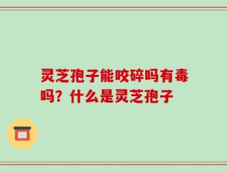 灵芝孢子能咬碎吗有毒吗？什么是灵芝孢子