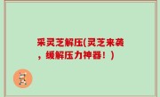 采灵芝解压(灵芝来袭，缓解压力神器！)