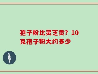 孢子粉比灵芝贵？10克孢子粉大约多少