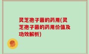 灵芝孢子菌的药用(灵芝孢子菌的药用价值及功效解析)